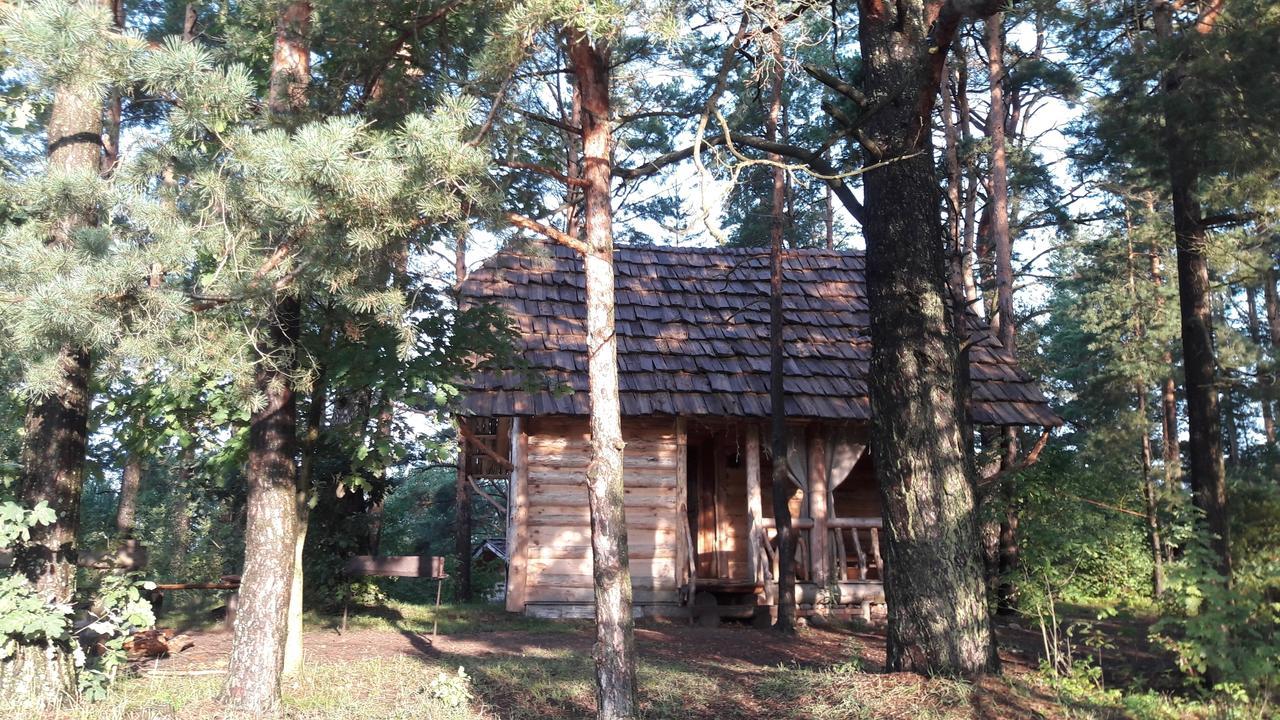 Hôtel Aghrousadba Zapovednyi Ostrov à Sho Extérieur photo